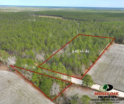 Farm Property for sale in Appling County, Georgia