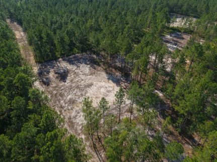 Farm Property for sale in Appling County, Georgia