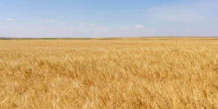 Farm Property for sale in Hill County, Montana