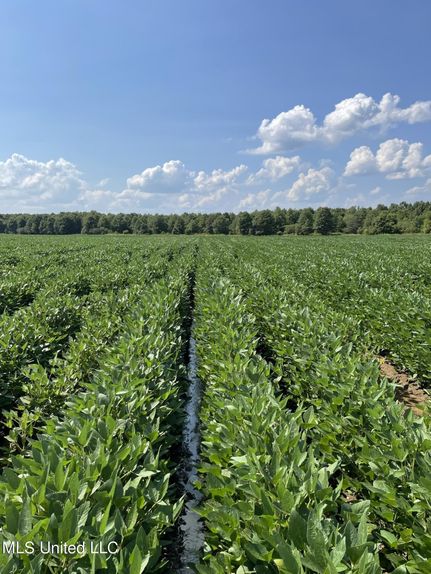 Farm Property for sale in Sharkey County, Mississippi