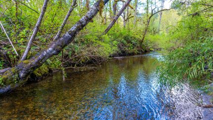 Recreational Property for sale in Skagit County, Washington