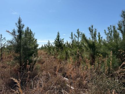 Ranch Property for sale in Ware County, Georgia