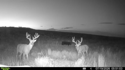 Farm Property for sale in Pratt County, Kansas