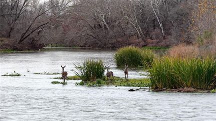 Farm Property for sale in Bastrop County, Texas