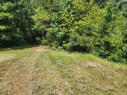 Hunting Land for sale in Newton County, Texas