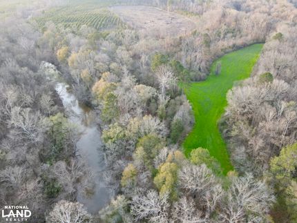 Timberland Property for sale in Dallas County, Alabama