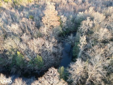 Farm Property for sale in Conecuh County, Alabama