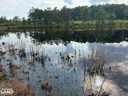 Farm Property for sale in Conecuh County, Alabama