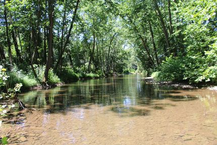 Ranch Property for sale in Shenandoah County, Virginia