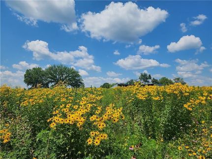 Residential Property for sale in Cass County, Missouri