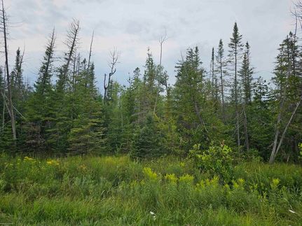 Farm Property for sale in Alpena County, Michigan