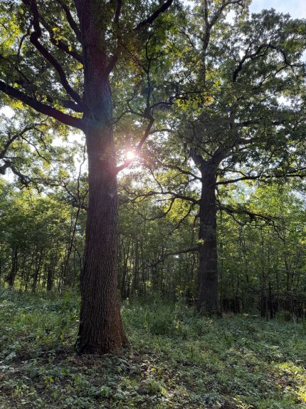 Farm Property for sale in Montgomery County, Kansas
