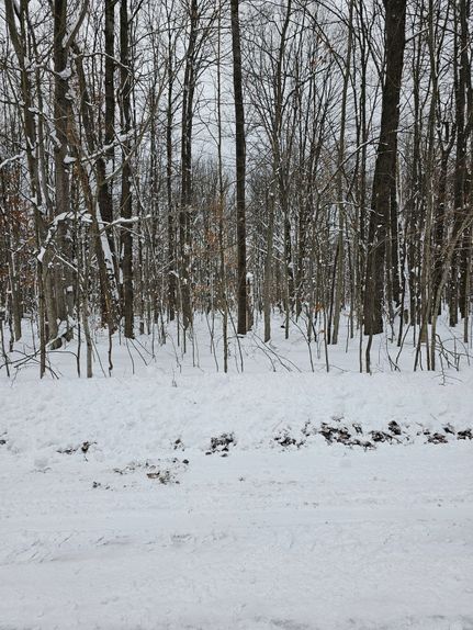 Farm Property for sale in Crawford County, Michigan