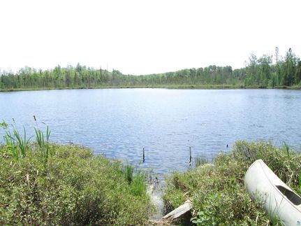 Farm Property for sale in Saint Louis County, Minnesota
