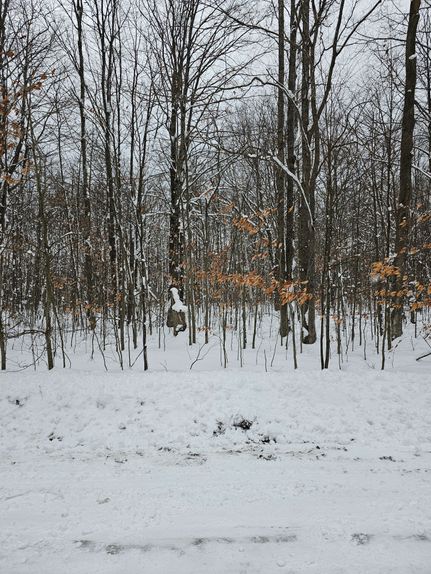 Farm Property for sale in Crawford County, Michigan