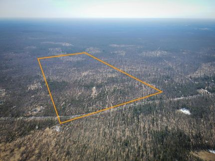 Farm Property for sale in Mason County, Michigan