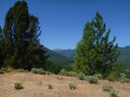 Timberland Property for sale in Siskiyou County, California