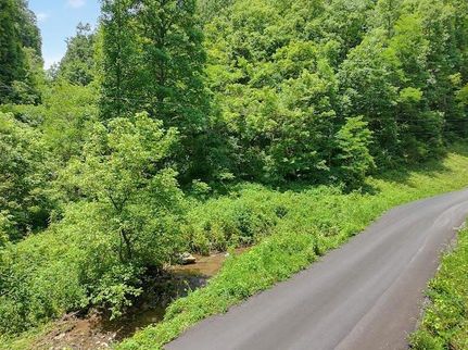 Undeveloped Land for sale in Russell County, Virginia