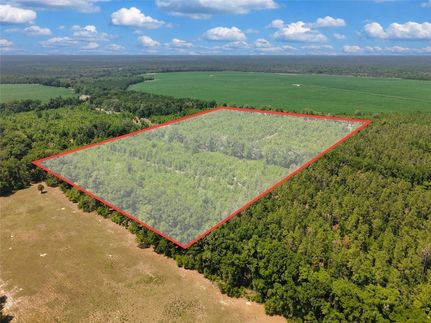 Farm Property for sale in Dixie County, Florida