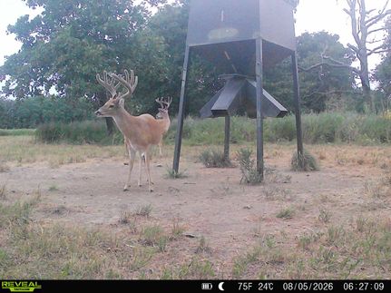Ranch Property for sale in Chautauqua County, Kansas