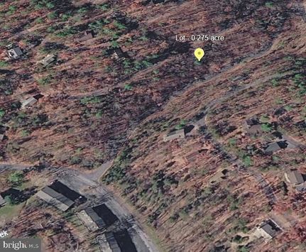 Undeveloped Land for sale in Shenandoah County, Virginia