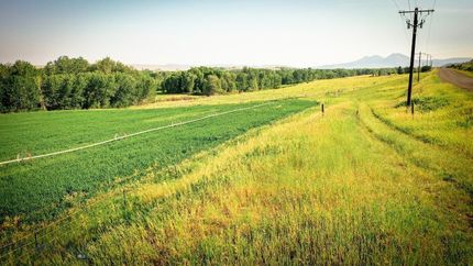 Timberland Property for sale in Park County, Montana