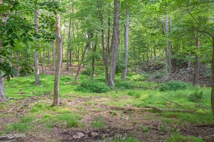 Ranch Property for sale in Pike County, Pennsylvania