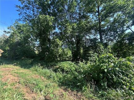 Recreational Property for sale in Erie County, New York