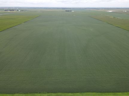 Farm Property for sale in Champaign County, Illinois