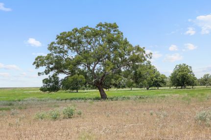 Recreational Property for sale in Caldwell County, Texas