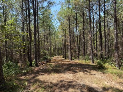 Farm Property for sale in Fayette County, Alabama