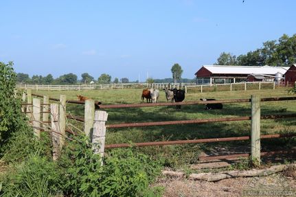 Residential Property for sale in Wayne County, Illinois