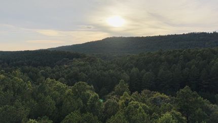 Farm Property for sale in Shelby County, Alabama