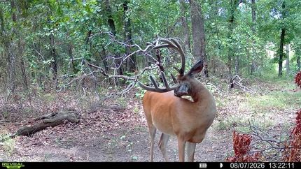 Ranch Property for sale in Cherokee County, Kansas