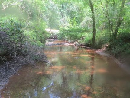 Timberland Property for sale in Jefferson County, Alabama