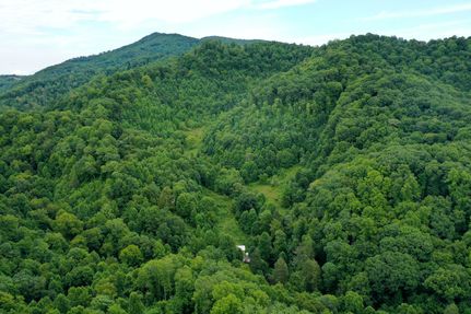 Ranch Property for sale in Russell County, Virginia
