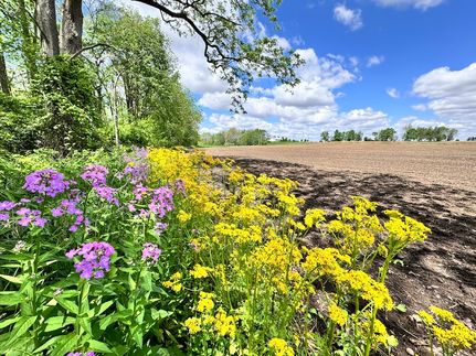Farm Property for sale in Boone County, Indiana