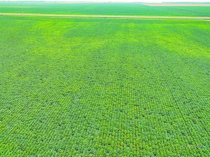 Ranch Property for sale in Pembina County, North Dakota