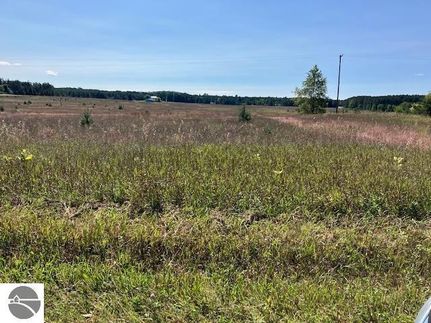 Undeveloped Land for sale in Grand Traverse County, Michigan