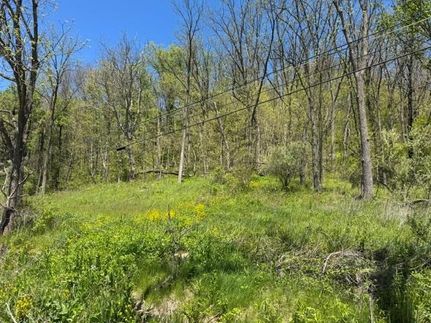 Farm Property for sale in Bradford County, Pennsylvania