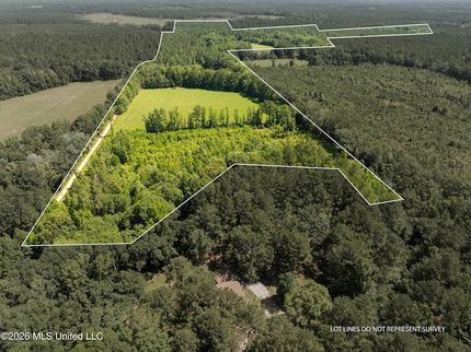 Undeveloped Land for sale in Perry County, Mississippi