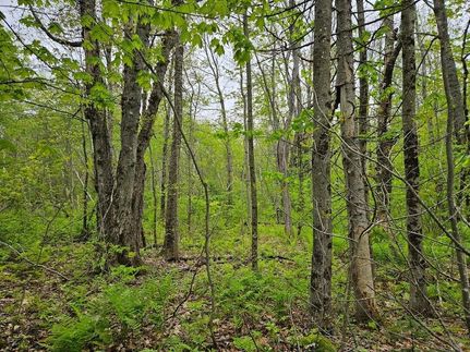Recreational Property for sale in Franklin County, Maine