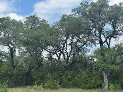Farm Property for sale in Burnet County, Texas