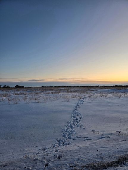 Ranch Property for sale in Norman County, Minnesota