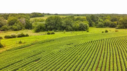 Recreational Property for sale in Lee County, Iowa