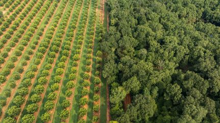Farm Property for sale in Dougherty County, Georgia