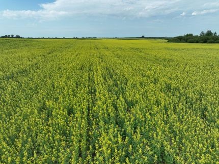 Farm Property for sale in Towner County, North Dakota