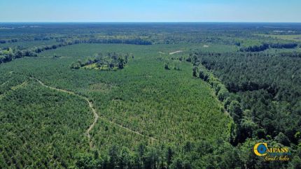 Timberland Property for sale in Macon County, Georgia