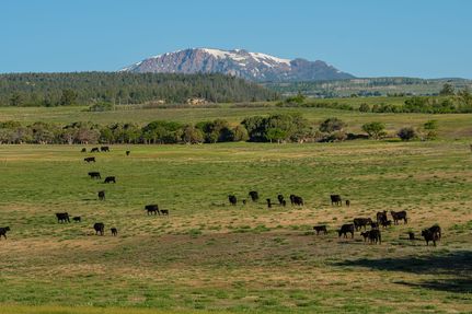 Property for sale in Eagle County, Colorado