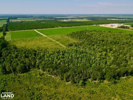 Farm Property for sale in Escambia County, Alabama